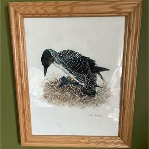 Signed and framed 3D bird painting by HB Taylor 12x16